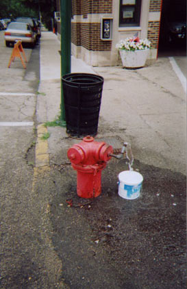 Most Famous Fire Hydrant in the World